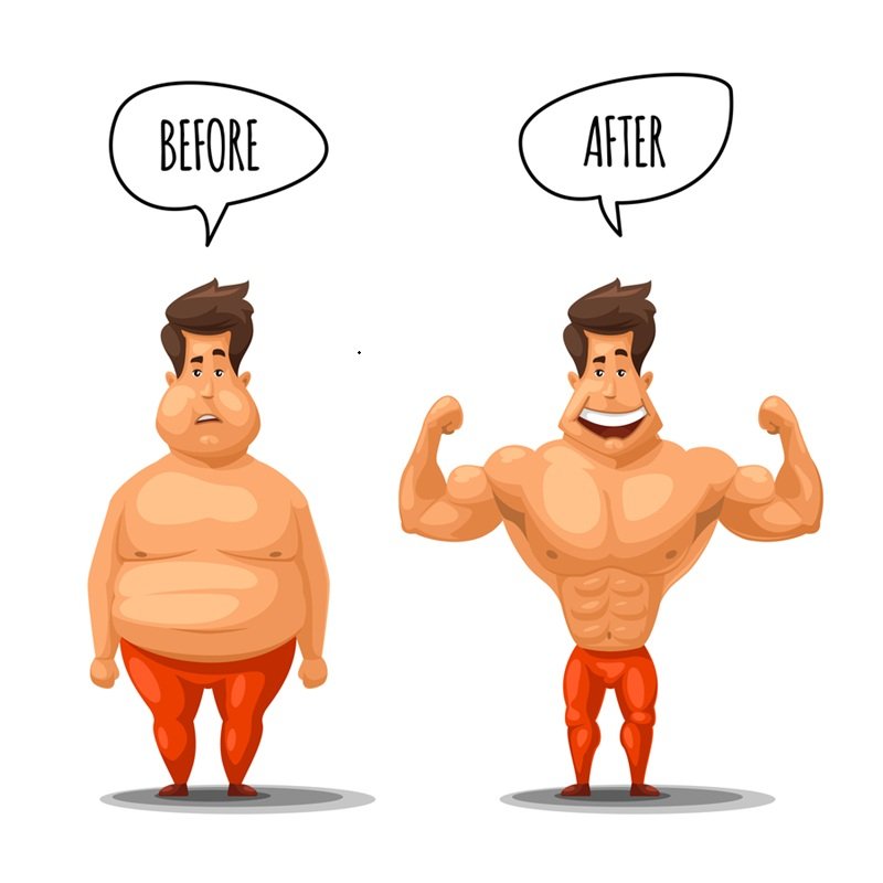 Muscle Building and Fat Loss: The Ultimate Guide to Transform Your Body